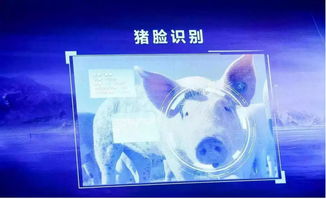 跨界風云 馬云、劉強東為何在豬價暴漲之際“卷”入養豬大業？